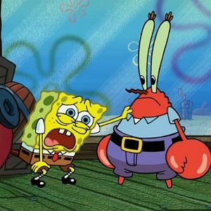 Photo Bob l'éponge
