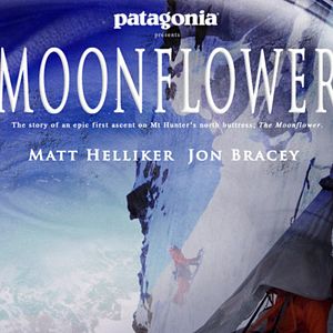 Photo Moonflower