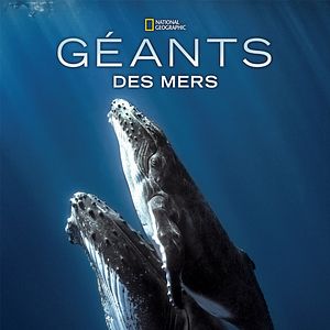 Photo Géants des mers