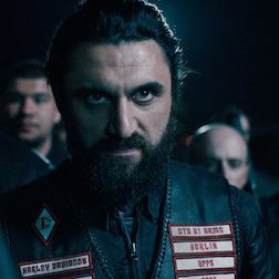 Photo Dogs Of Berlin