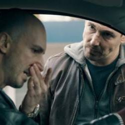 Photo Dogs Of Berlin