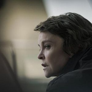 Photo Dogs Of Berlin