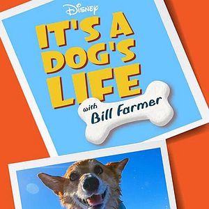 Photo Héros fidèles avec Bill Farmer