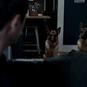 Photo Hudson et Rex