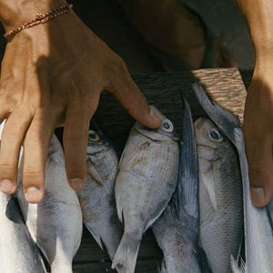 Photo Une barque sur l'océan