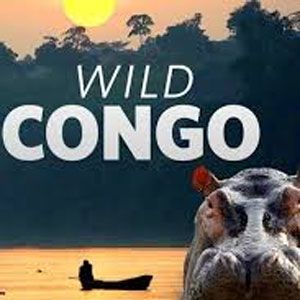 Photo Destination Wild : Congo