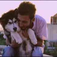 Photo Nos amis les chiens