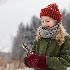 Photo Noël dans la forêt de la chouette