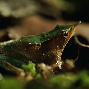 Photo Destination Wild : Chili