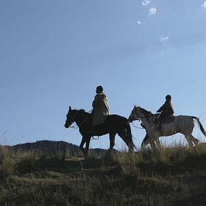 Photo Les Voleurs de chevaux