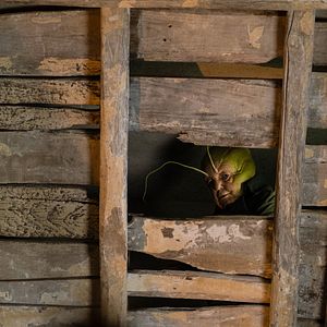 Photo Pinocchio