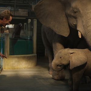 Photo Le Seul et unique Ivan