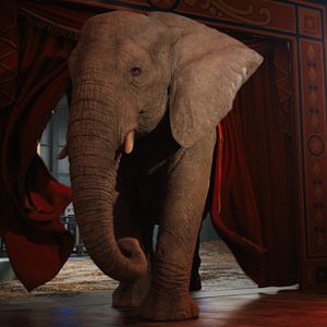 Photo Le Seul et unique Ivan