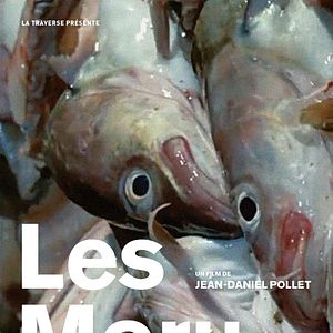 Photo Les Morutiers