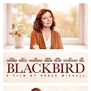 Photo Blackbird