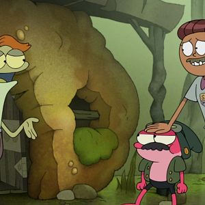 Photo Amphibia