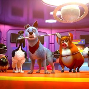 Photo Pets United : L'union fait la force