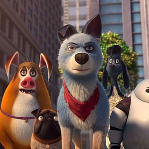 Photo Pets United : L'union fait la force