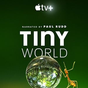 Photo Tiny World