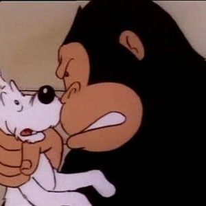 Photo Les Aventures de Tintin