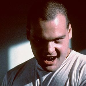Photo Vincent D'Onofrio