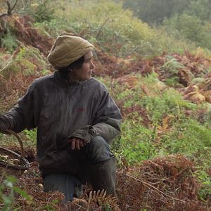 Photo La Terre du milieu