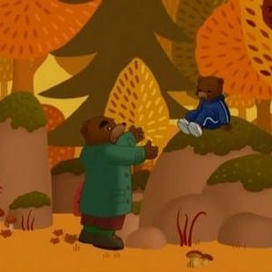Photo Les Aventures de Petit Ours Brun