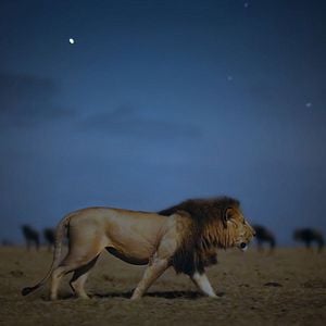 Photo Terre : les couleurs nocturnes