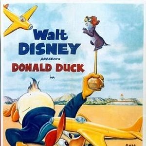 Photo Donald pilote d'essai