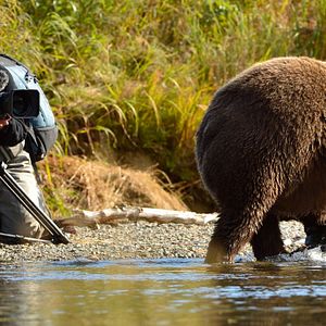 Photo L'Ours en Moi
