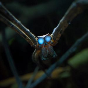 Photo Tiny World
