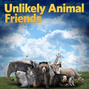 Photo Drôles d’amis