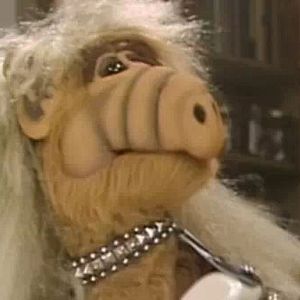 Photo ALF