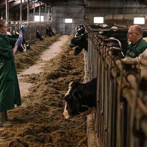 Photo Jette Søndergaard