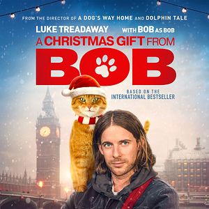 Photo Joyeux Noël Bob