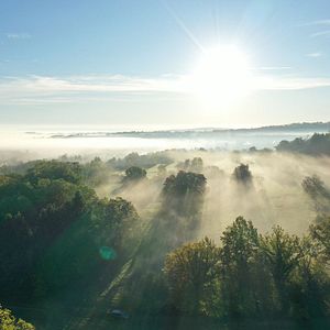 Photo Arbres et forêts Remarquables, un univers à explorer