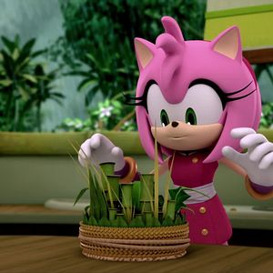 Photo Sonic Boom