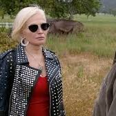 Photo Animal Kingdom