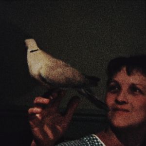 Photo Au dos de nos images