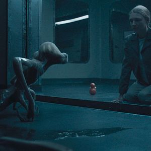 Photo Sputnik - Espèce Inconnue