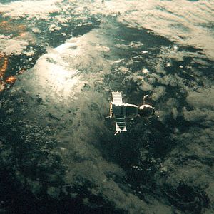 Photo Sputnik - Espèce Inconnue