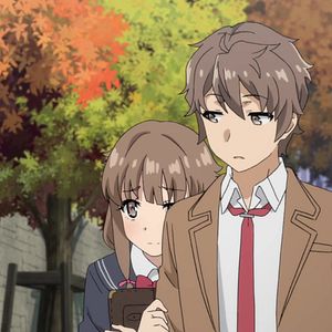 Photo Rascal Does Not Dream of Bunny Girl Senpai