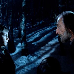 Photo L'Arbre (Drvo)