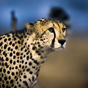 Photo Terre : les couleurs nocturnes