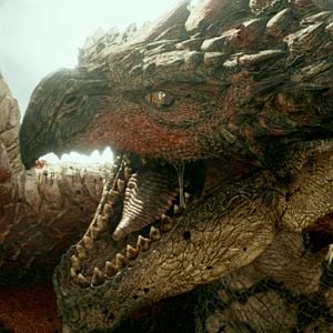 Photo Monster Hunter