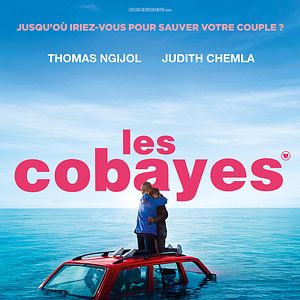 Photo Les Cobayes