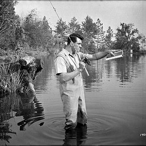 Photo Rock Hudson