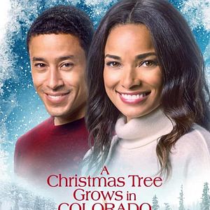 Photo Un sapin de Noël, deux amoureux