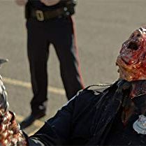 Photo Matthew Ninaber