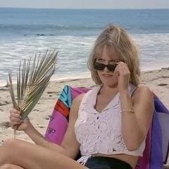 Photo Alerte à Malibu